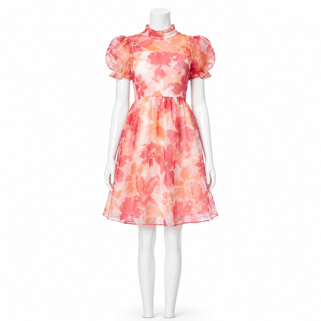 Blush Étoile Dress