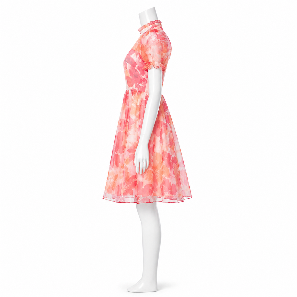 Blush Étoile Dress